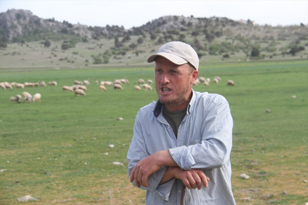 Yaylalarda Besicilerin Mesaisi Devam Ediyor