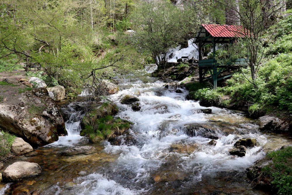 Akarsulara Baharla Gelen Güzellik