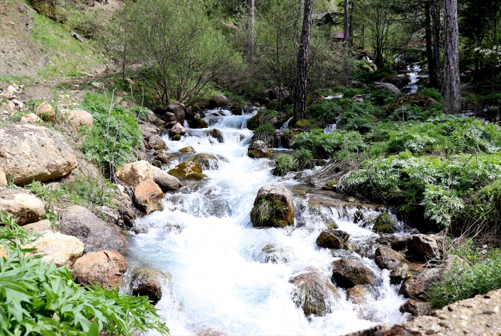Akarsulara Baharla Gelen Güzellik