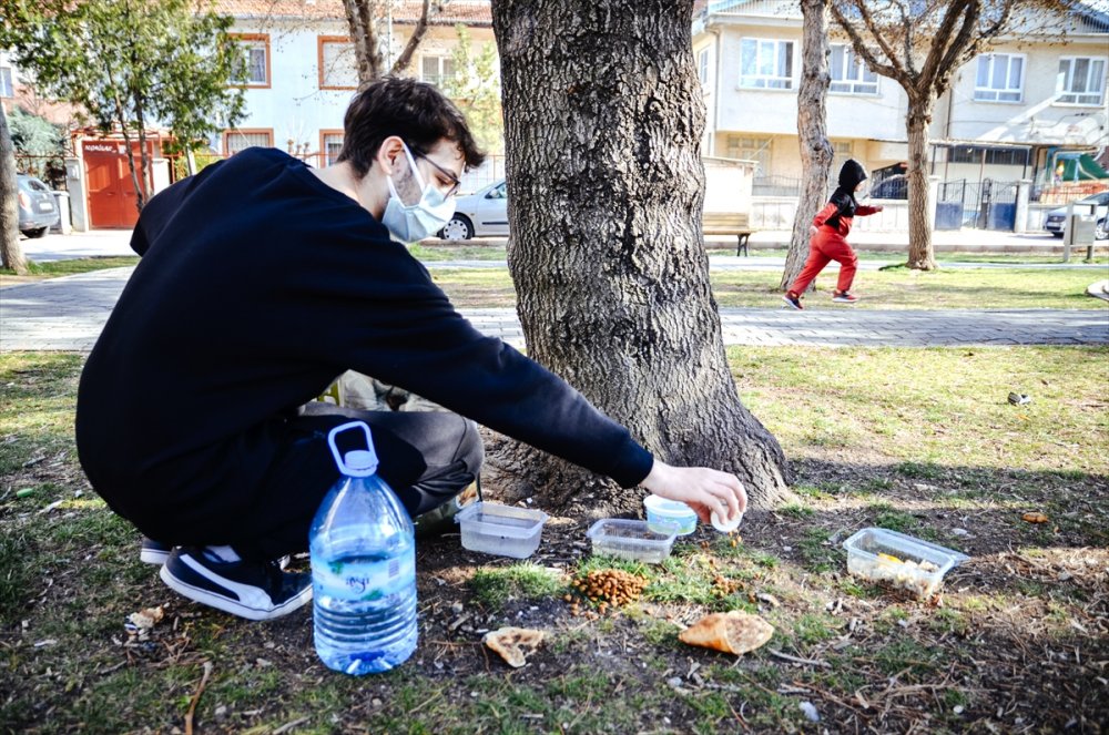 Hayvan sever Öğrenci Harçlıklarını "Can Dostları" İçin Harcıyor