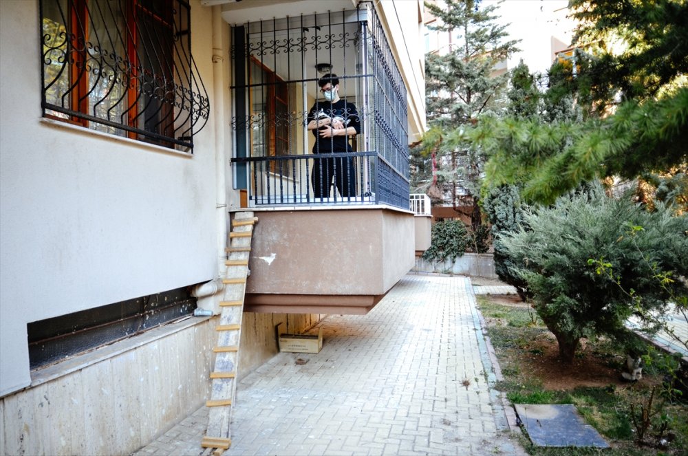 Hayvan sever Öğrenci Harçlıklarını "Can Dostları" İçin Harcıyor