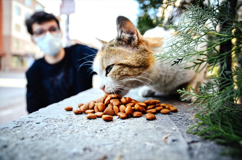 Hayvan sever Öğrenci Harçlıklarını "Can Dostları" İçin Harcıyor