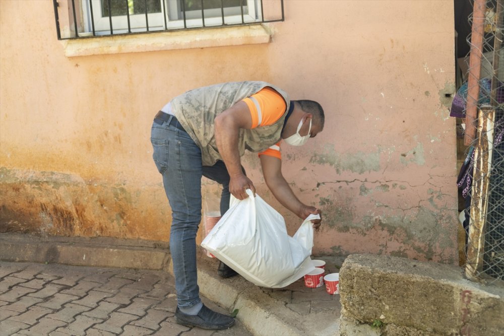 Mersin'de Tam Kapanmada Sokak Hayvanlarına 7 Ton Mama Dağıtılacak
