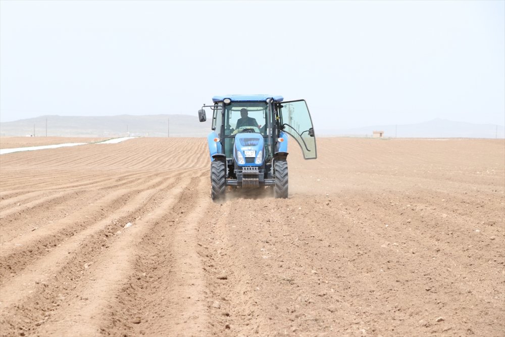 Niğde'de Patates Ekimine Başlandı