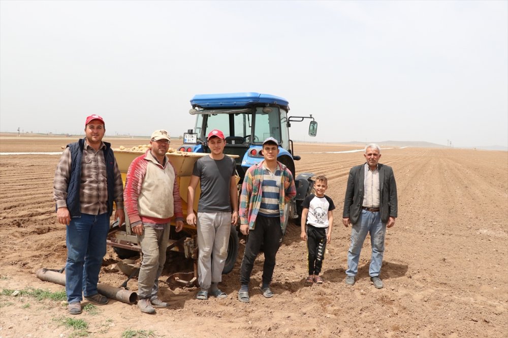 Niğde'de Patates Ekimine Başlandı