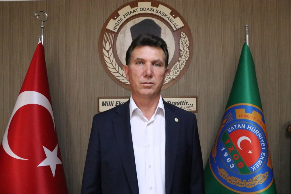 Niğde'de Patates Ekimine Başlandı