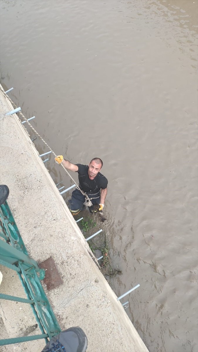 Mersin'de Dere Yatağında Mahsur Kalan Kedi İtfaiye Ekiplerince Kurtarıldı