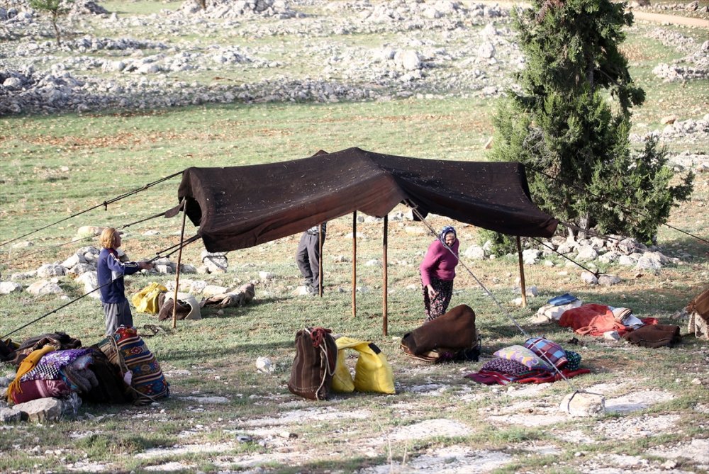 Sarıkeçili Yörükleri 1000 Yıllık Tarihi Yolculuğunu Develerle Sürdürüyor