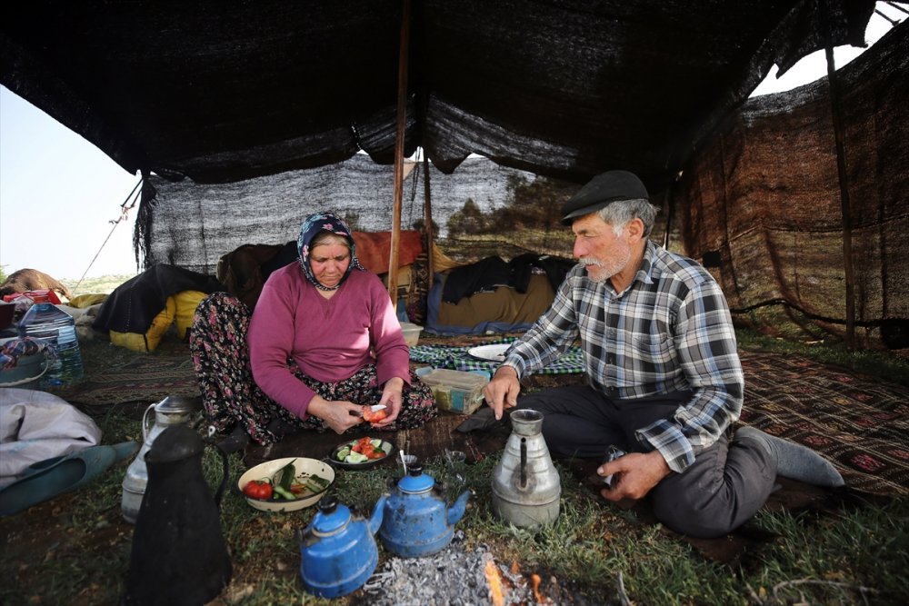 Sarıkeçili Yörükleri 1000 Yıllık Tarihi Yolculuğunu Develerle Sürdürüyor