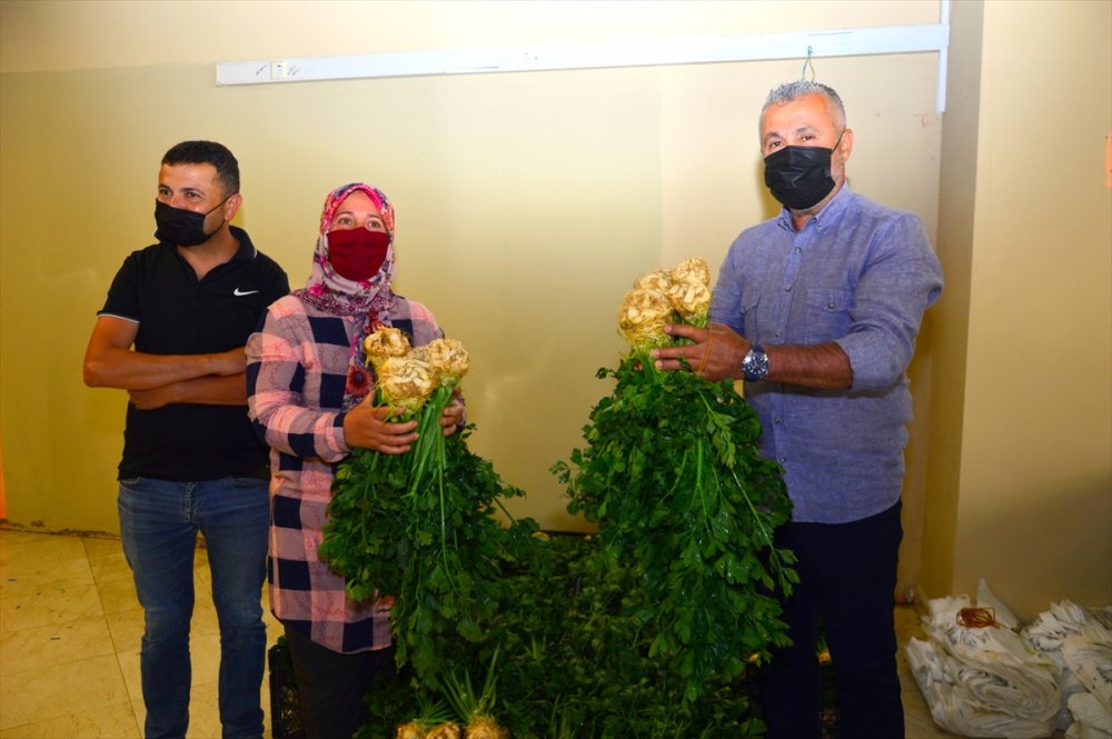 Antalya'da Üreticinin Elinde Kalan Ürünü Satın Alan Belediye, İhtiyaç Sahiplerine Dağıtıyor