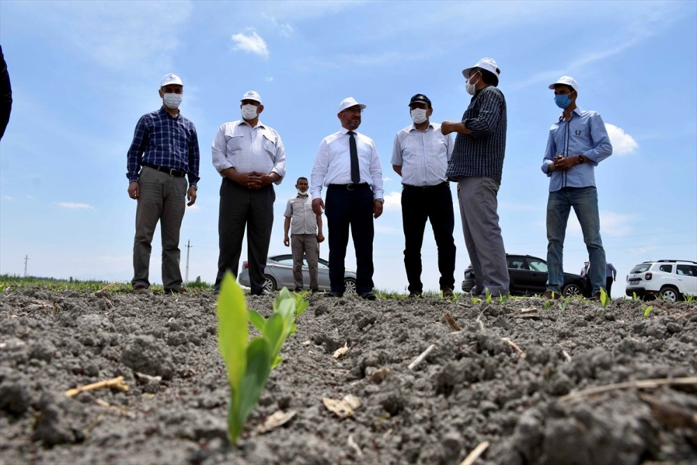 KOP İdaresinin Tekniği, Çiftçilerin Yüzünü Güldürdü
