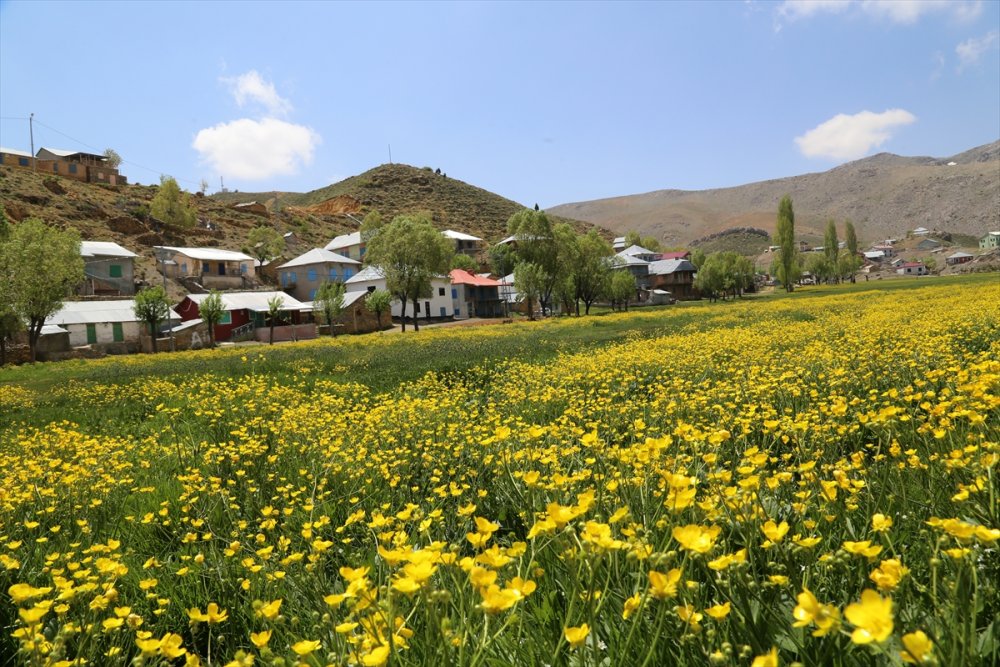 Torosların, Bahar Coşkusu Bir Farklı Oluyor