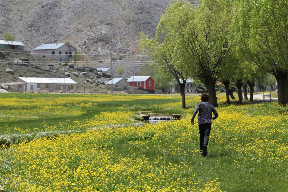 Torosların, Bahar Coşkusu Bir Farklı Oluyor
