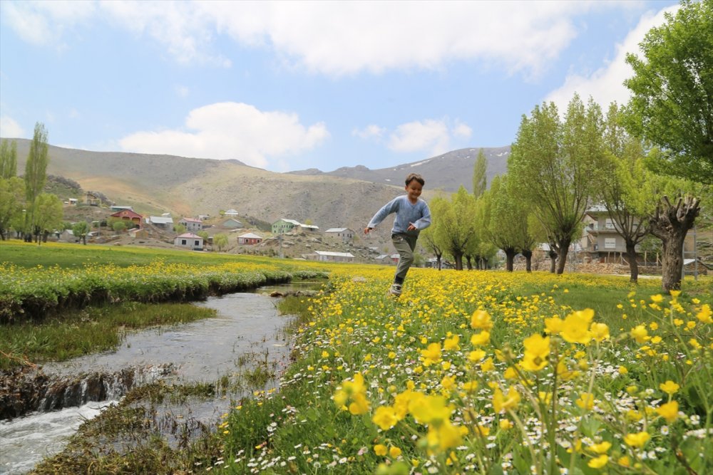 Torosların, Bahar Coşkusu Bir Farklı Oluyor