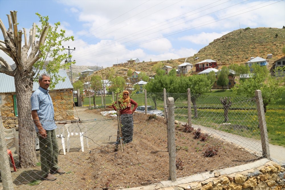 Torosların, Bahar Coşkusu Bir Farklı Oluyor
