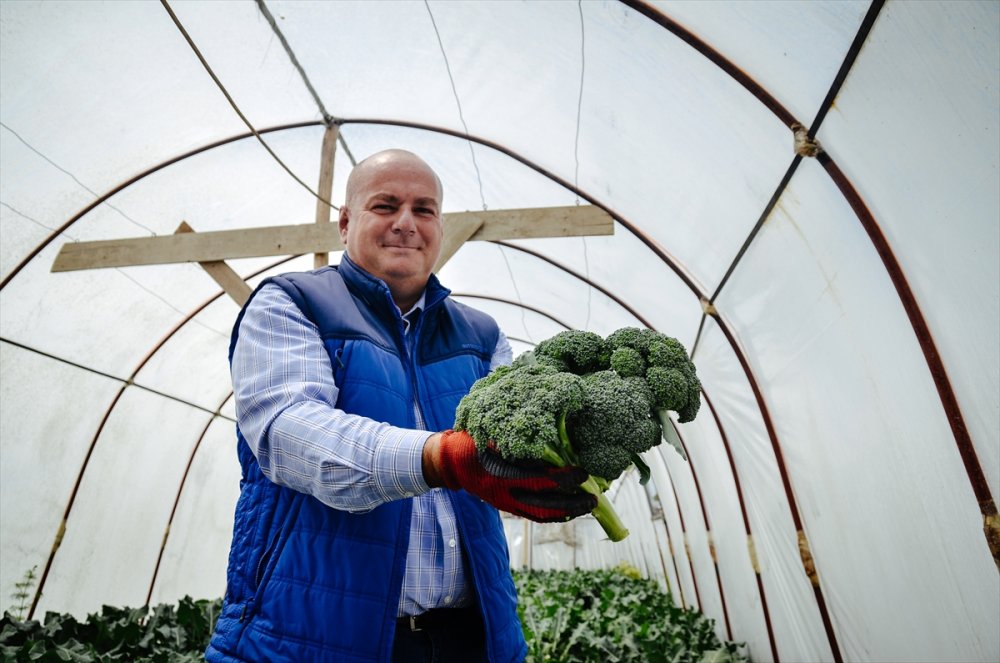 Salgında Hobi Amaçlı Sera Kuran Mühendis, Sebze Talebine Yetişemiyor