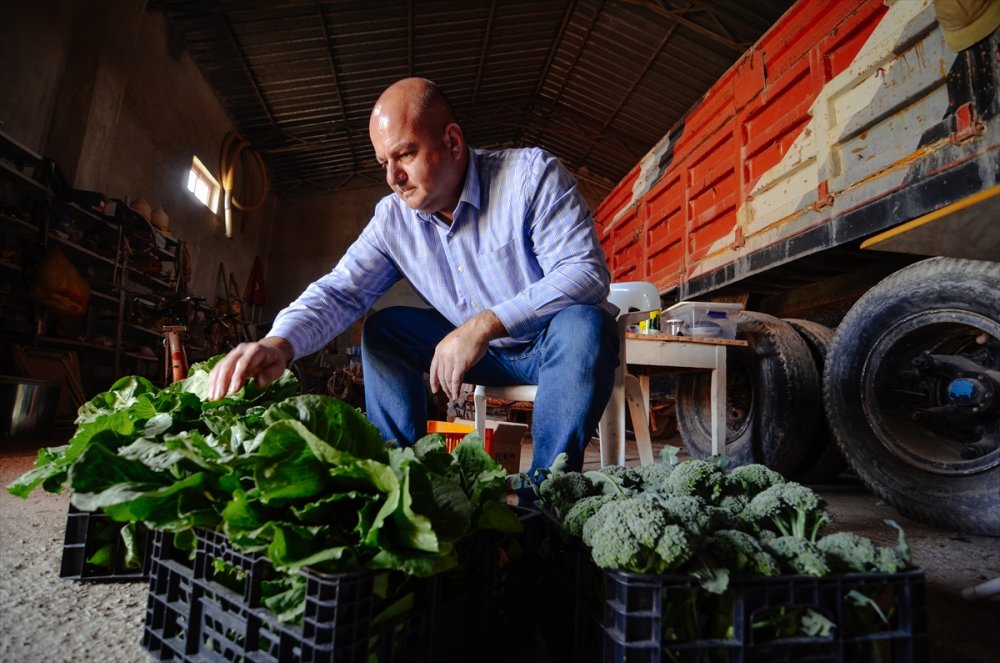Salgında Hobi Amaçlı Sera Kuran Mühendis, Sebze Talebine Yetişemiyor