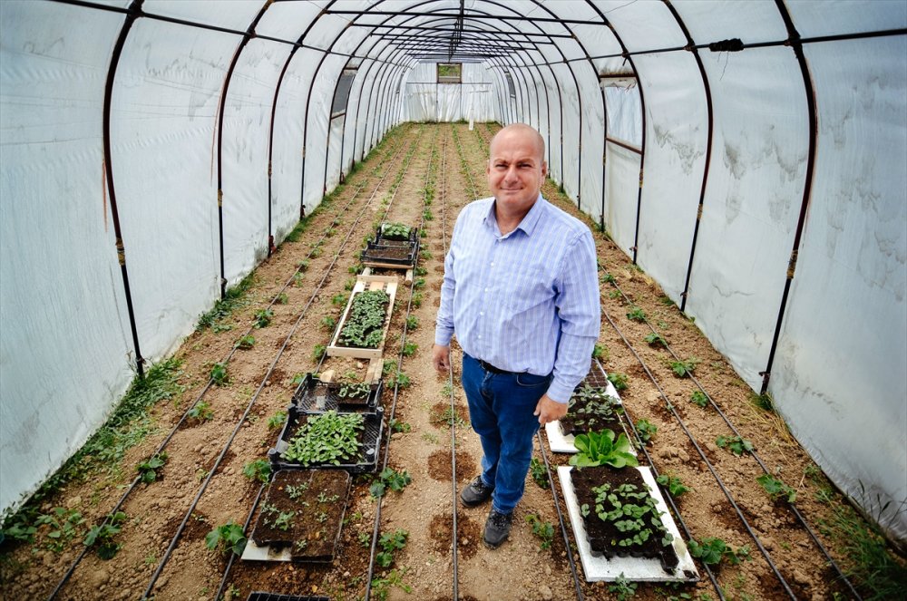 Salgında Hobi Amaçlı Sera Kuran Mühendis, Sebze Talebine Yetişemiyor