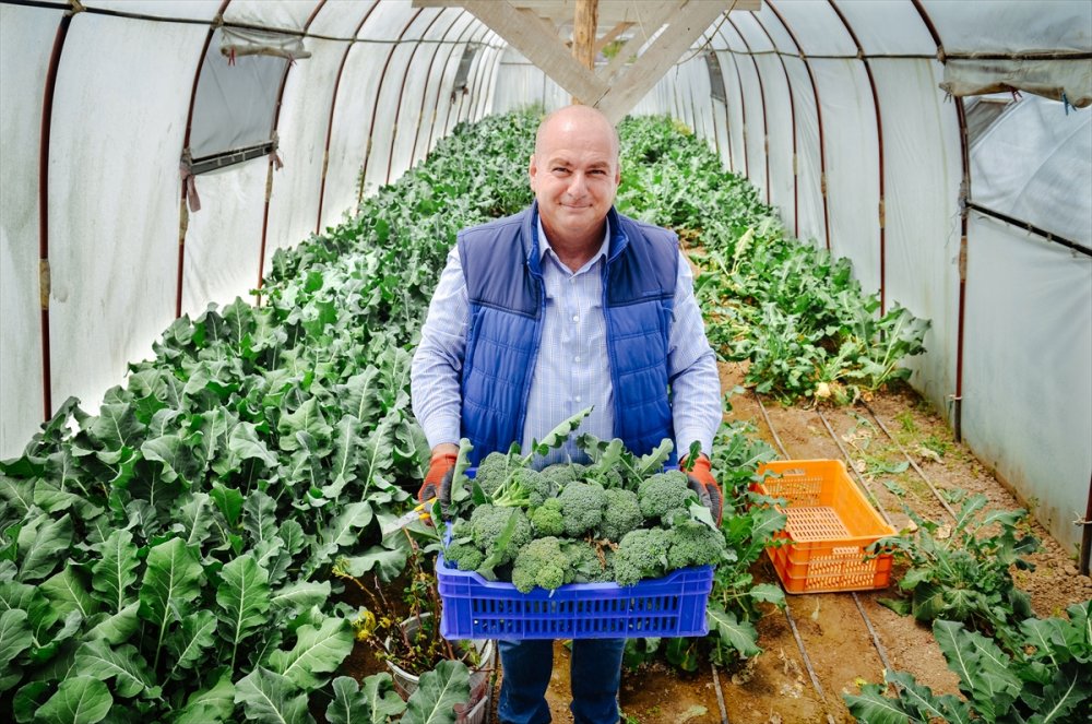 Salgında Hobi Amaçlı Sera Kuran Mühendis, Sebze Talebine Yetişemiyor
