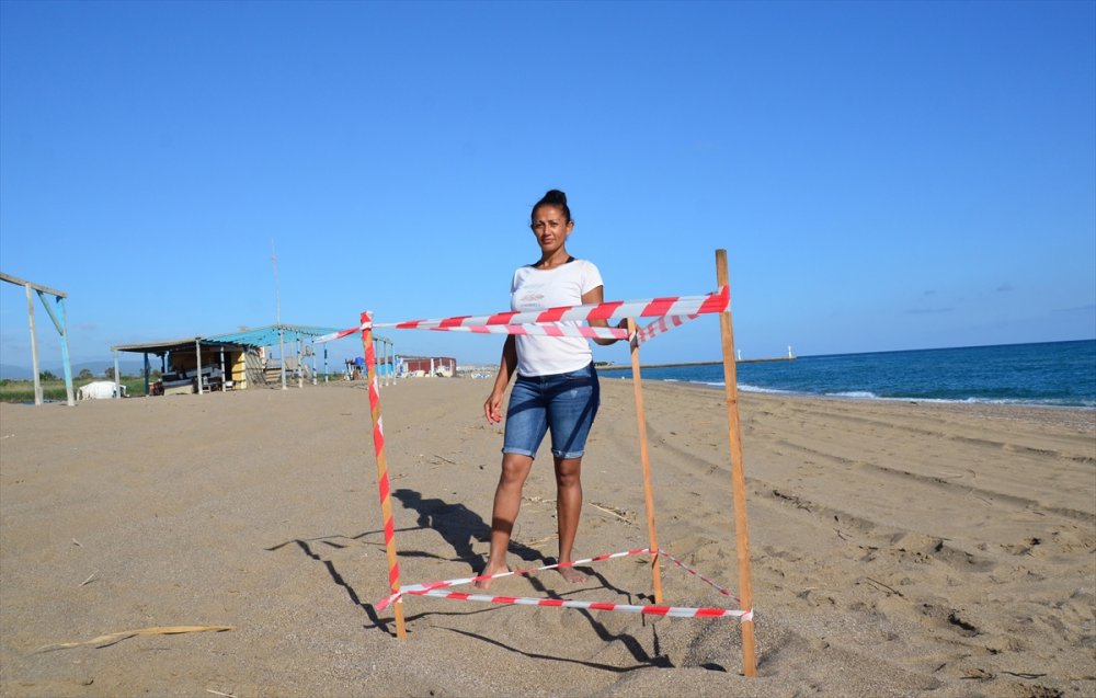 Antalya'da Caretta Carettalar, Yumurta Bırakmaya Başladı