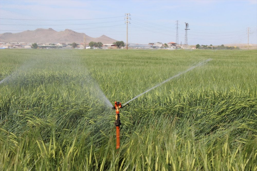 Karapınar'da Kuraklık Nedeniyle Yeraltı Suyu Kullanımı Arttı