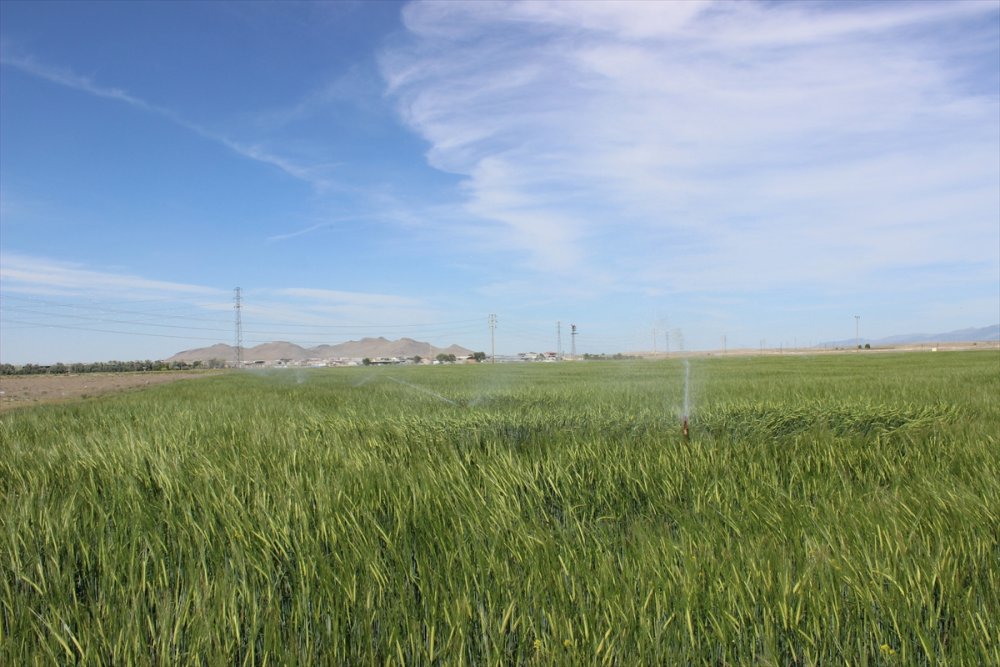 Karapınar'da Kuraklık Nedeniyle Yeraltı Suyu Kullanımı Arttı