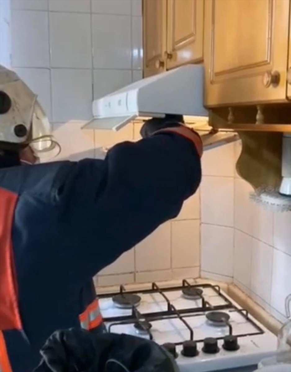 Mersin'de Evin Mutfağındaki Davlumbaza Giren 4 Yarasa Çıkarılıp Doğaya Bırakıldı