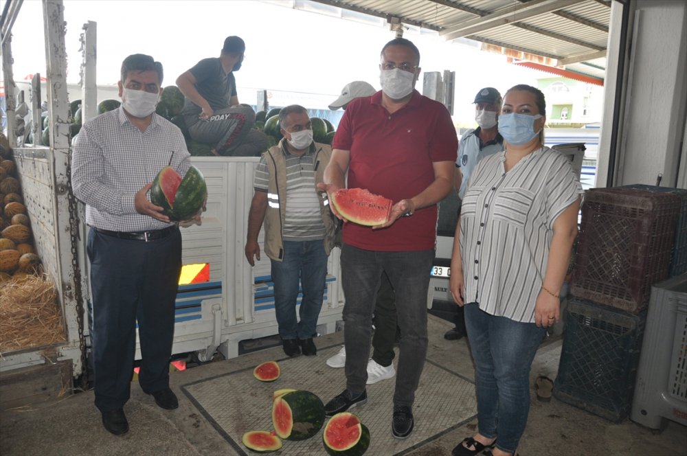 Mersin'de "ham Kavun, Karpuz Timi" Olgunlaşmamış Ürünü Hasat Ettirmeyecek