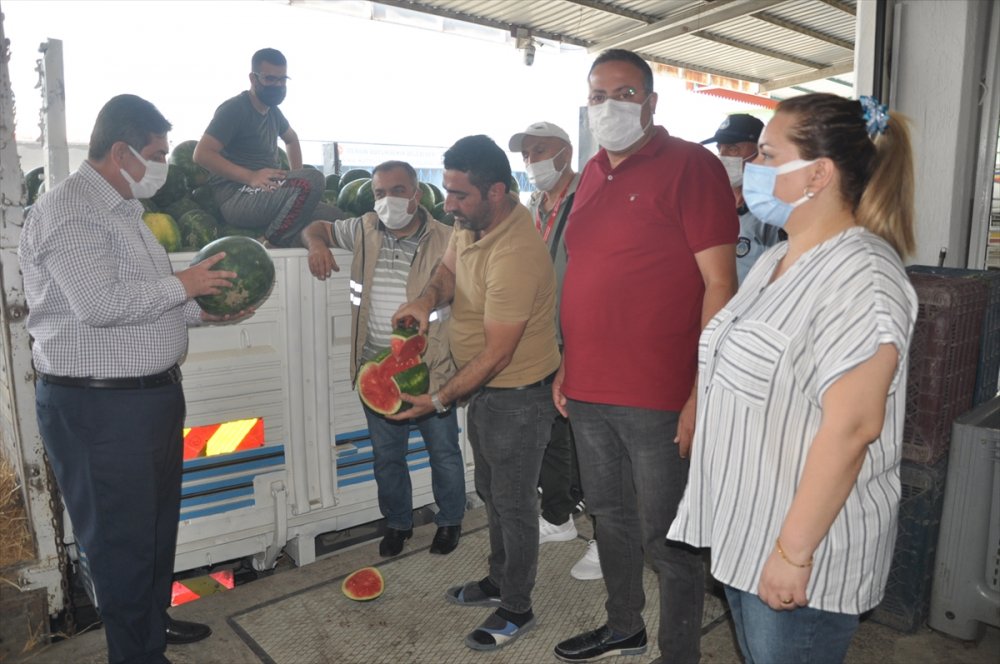 Mersin'de "ham Kavun, Karpuz Timi" Olgunlaşmamış Ürünü Hasat Ettirmeyecek
