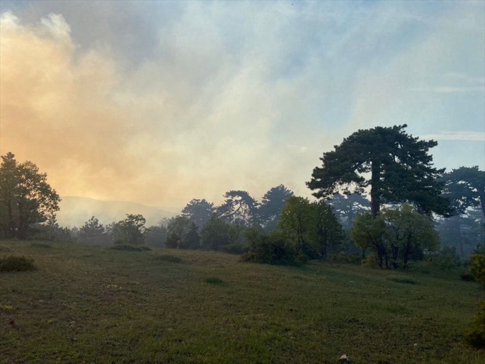 Eskişehir'de Ormanlık Alanda Yangın Çıktı