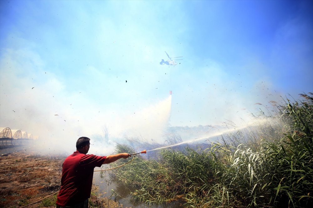 Antalya'da Çıkan Yangın Evlere Ulaşmadan Söndürüldü