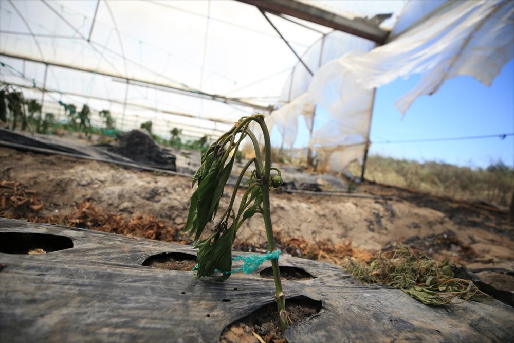 Antalya'da Çıkan Yangın Evlere Ulaşmadan Söndürüldü