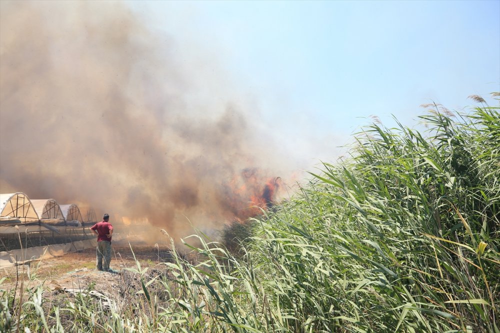 Antalya'da Çıkan Yangın Evlere Ulaşmadan Söndürüldü