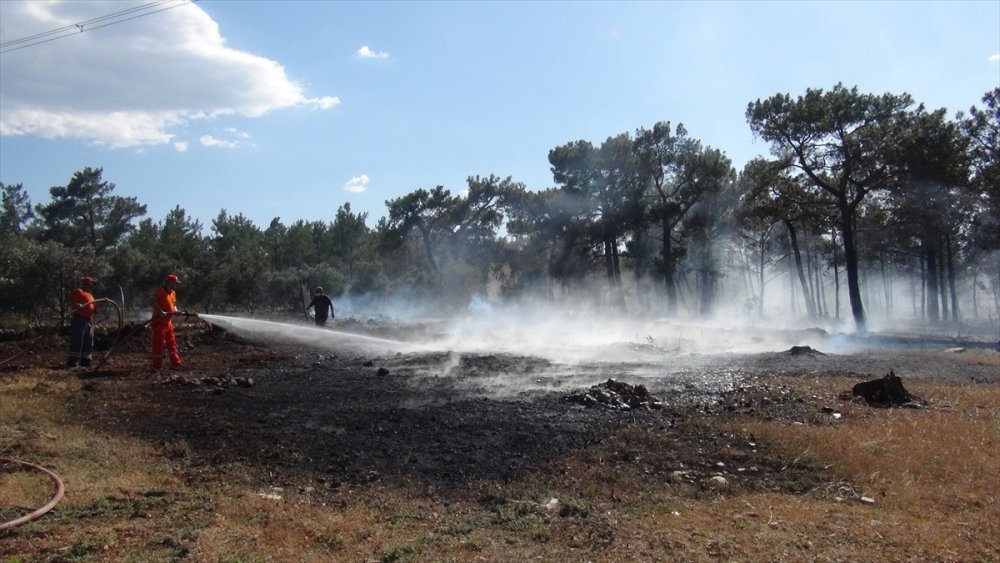 Mersin'de Çıkan Orman Yangını Söndürüldü