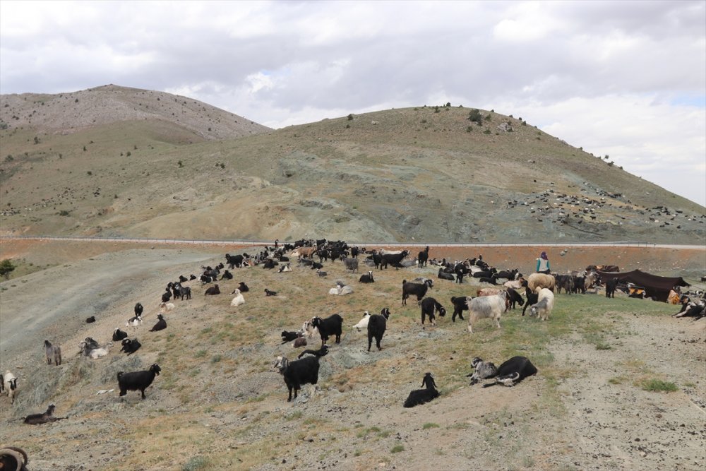 Sarıkeçili Yörükler İçin Göç Telaşı