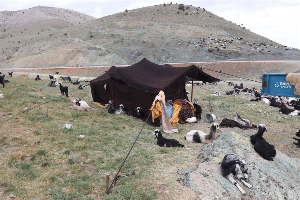 Sarıkeçili Yörükler İçin Göç Telaşı