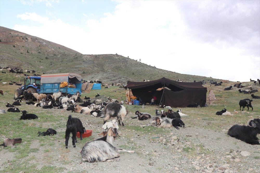 Sarıkeçili Yörükler İçin Göç Telaşı