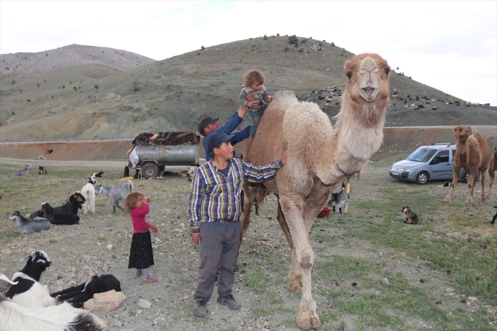 Sarıkeçili Yörükler İçin Göç Telaşı