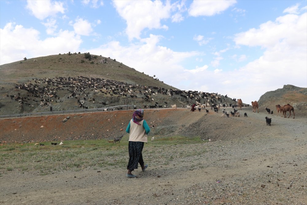 Sarıkeçili Yörükler İçin Göç Telaşı