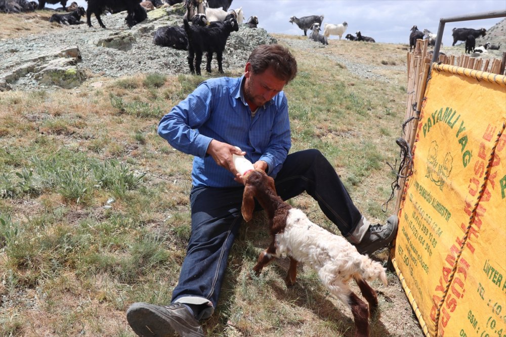 Sarıkeçili Yörükler İçin Göç Telaşı