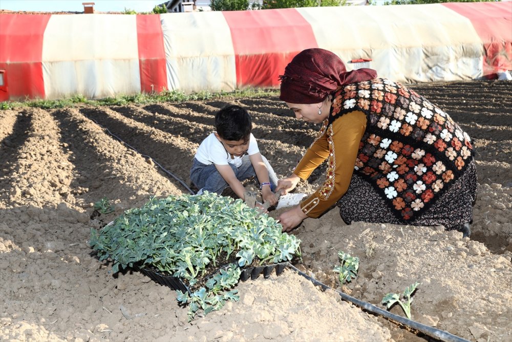 Çubuklu Öğretmen, 3 Yıl Önce Başladığı Kümes Hayvanı Yetiştiriciliğinde 1500 Tavuğa Ulaştı