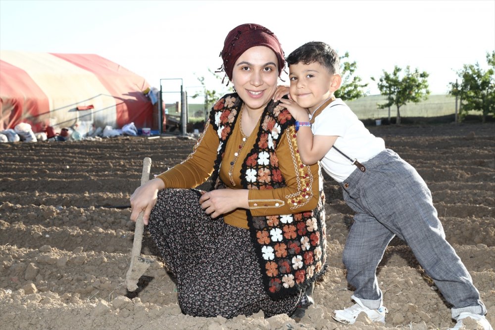Çubuklu Öğretmen, 3 Yıl Önce Başladığı Kümes Hayvanı Yetiştiriciliğinde 1500 Tavuğa Ulaştı