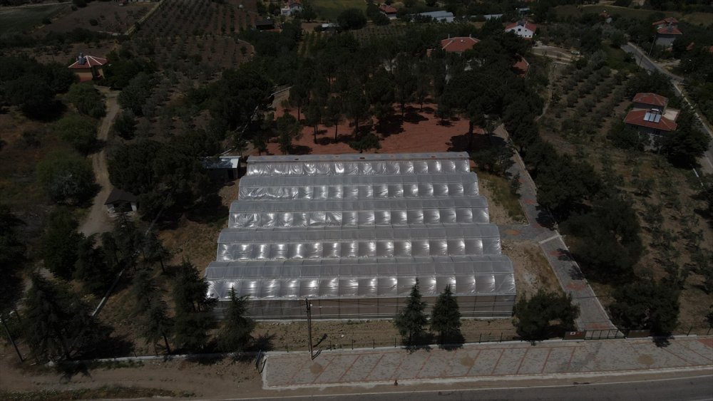 Eskişehir'de Hibe Destekli Kadın Çiftçi Eğitim Merkezi İnşaatı Tamamlanma Aşamasına Getirildi