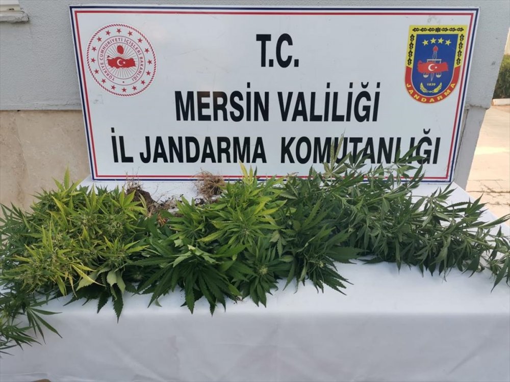 Mersin'de Uyuşturucu Operasyonunda 4 Şüpheli Yakalandı