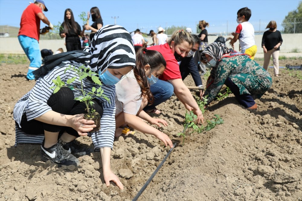Çubuk'ta Genç Sporcular İhtiyaç Sahipleri İçin Sebze Yetiştiriyor