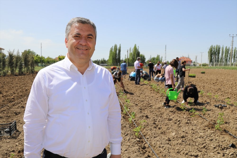 Çubuk'ta Genç Sporcular İhtiyaç Sahipleri İçin Sebze Yetiştiriyor
