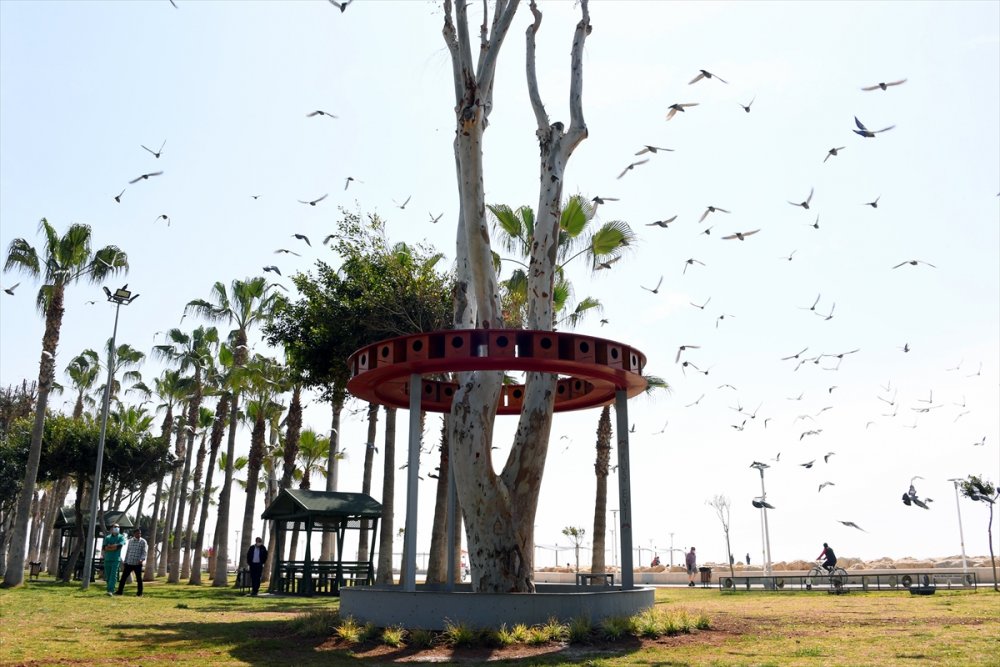 Mersin Büyükşehir Belediyesince Sahilde 48 Odalı "kuş Evi" Yapıldı