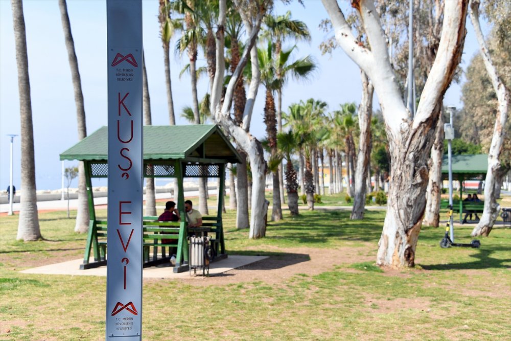 Mersin Büyükşehir Belediyesince Sahilde 48 Odalı "kuş Evi" Yapıldı