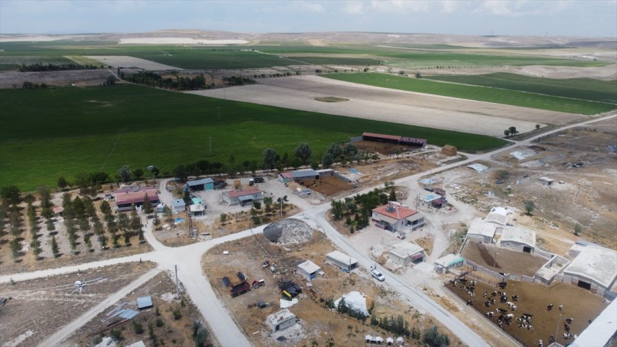 Grafikli - Konya Ovası'nın Obruk Haritası Sürekli Güncelleniyor