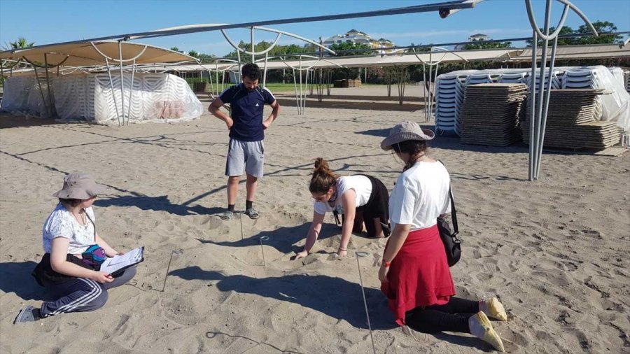 Caretta Carettaların Yuvalama Döneminde İşletmecilere "ışık" Ve "şezlong" Uyarısı